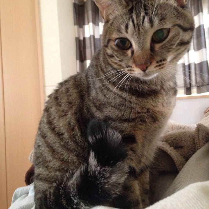 3b2f8f10 5ec4 41e2 bb55 896ba75c4e65 1508470829182