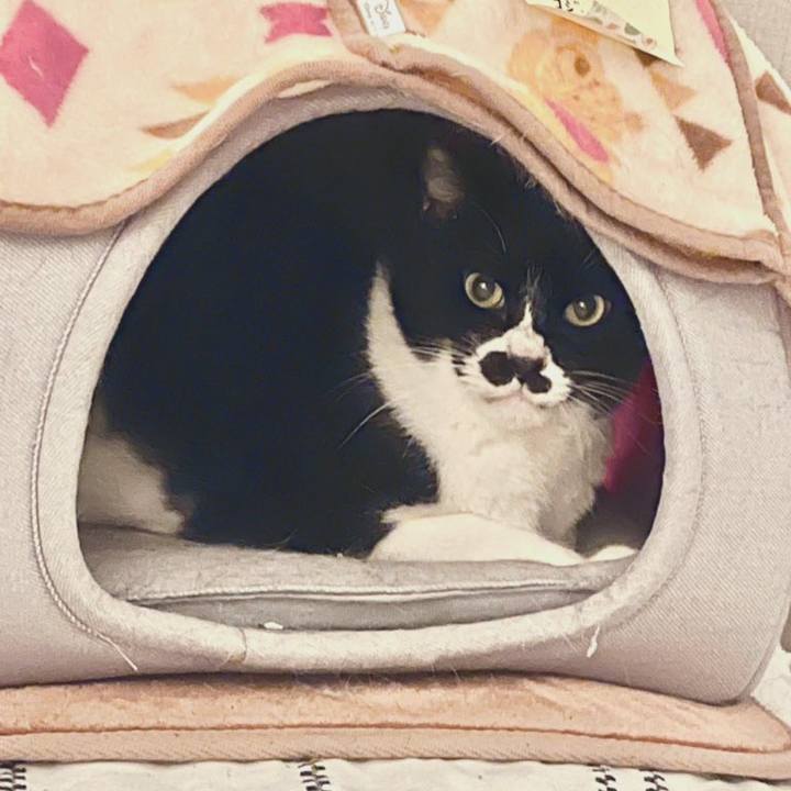 3b2fc6aa e8d0 48c1 a6d0 dba2bb03efd8 1679490846177