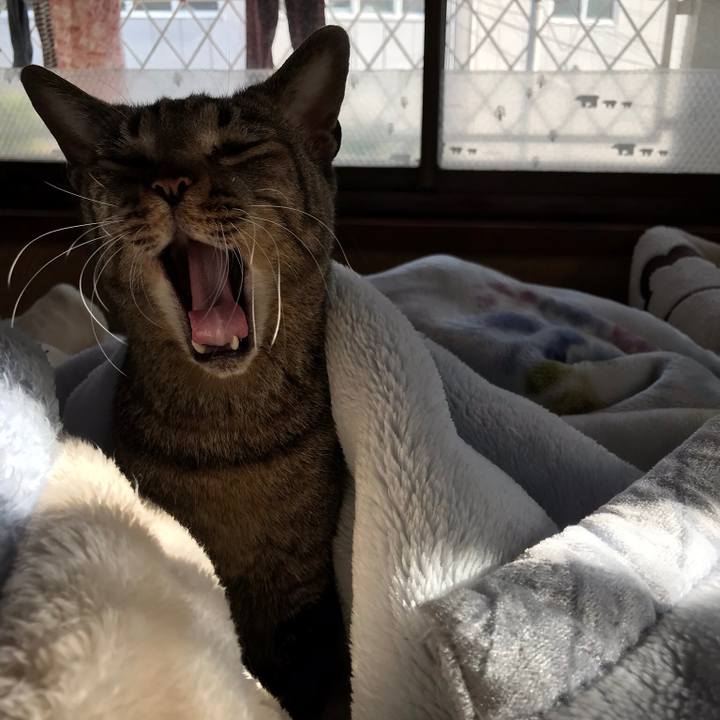 3b30072b ed4a 4259 8928 c15c185d4f19 1510881032833