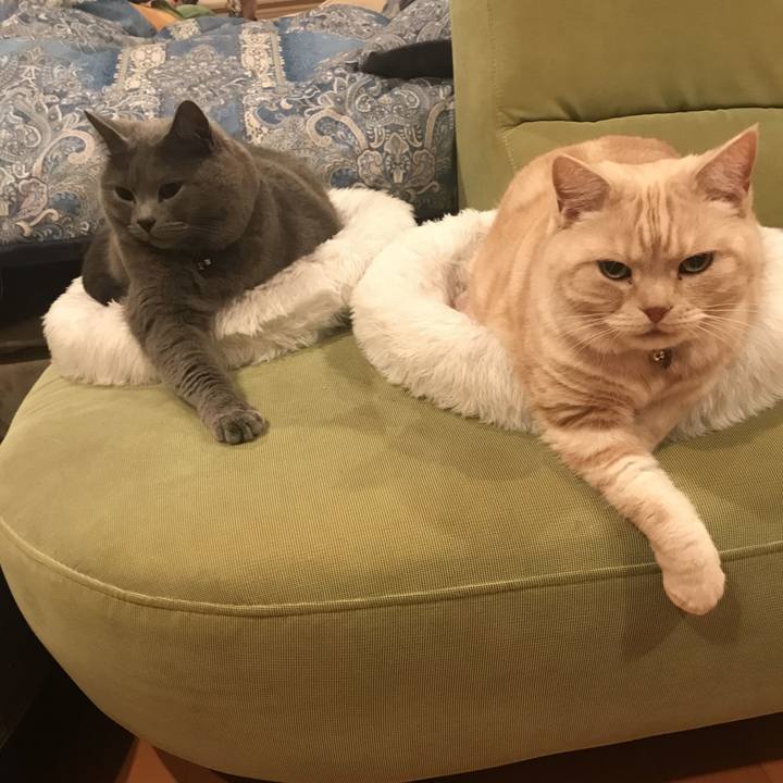 3b30095b c037 4f40 9048 16d6af7a71cb 1641862213811