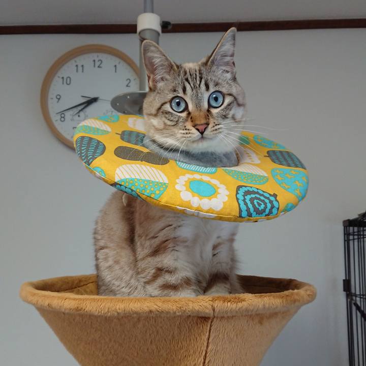 3b301b49 009d 4bde aa1b e75a008a5687 1516057390395