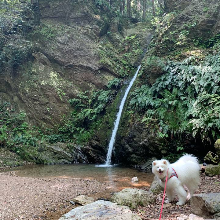 3b3027e6 ce15 4e5f a973 7356336c6b0e 1620739101950