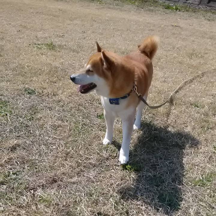 3b30517e 0889 458e bfd4 edb7e431233a 1584681884530