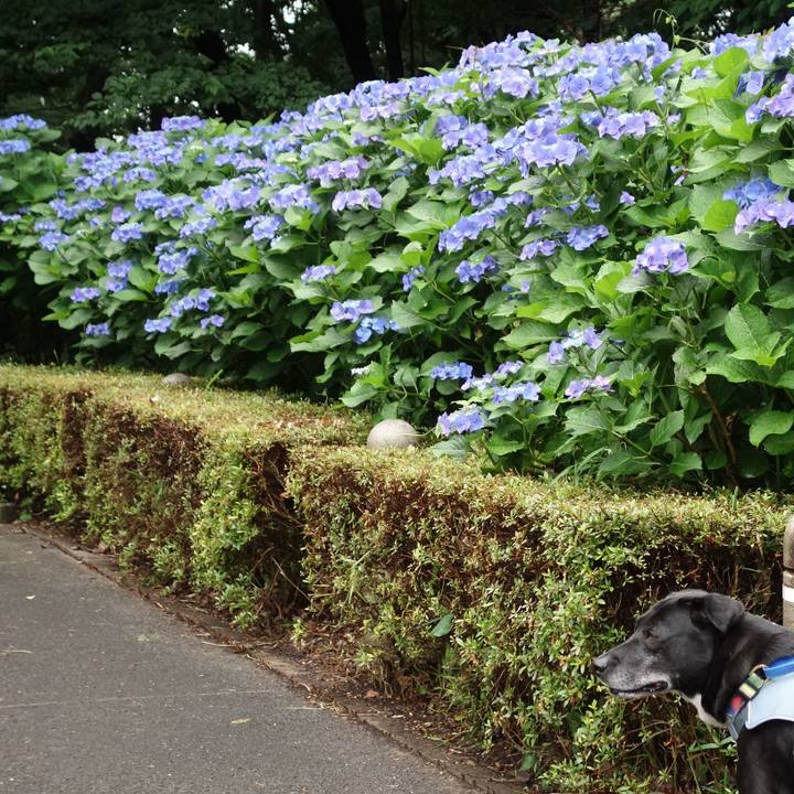 3b30ae1f 5c8f 4a53 9c19 bead28d85924 1717982127820