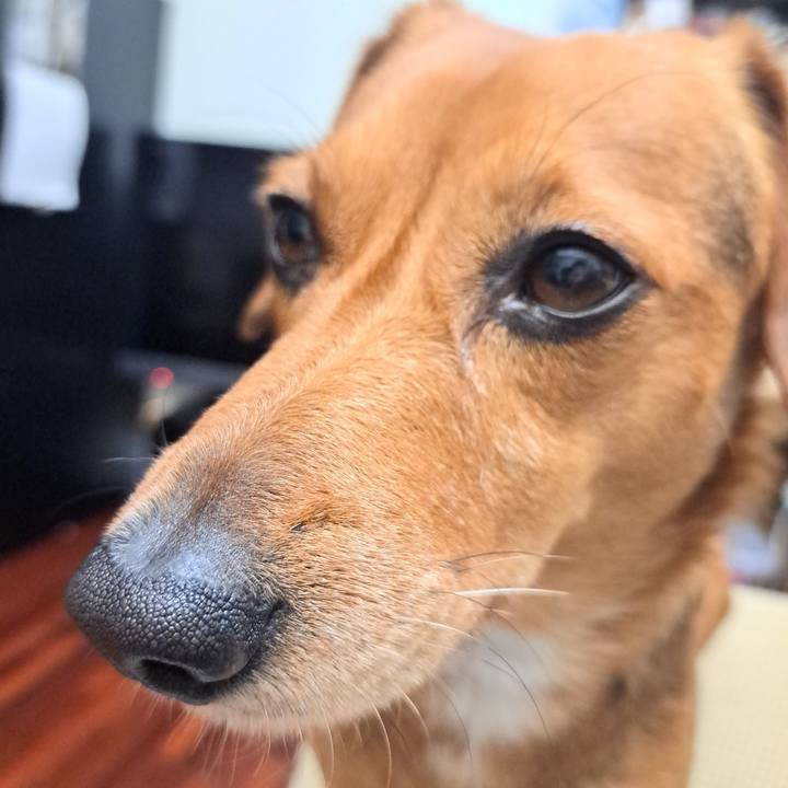 3b30bf6c 14bf 4cd8 a84c 600b1dbd8209 1765577798782