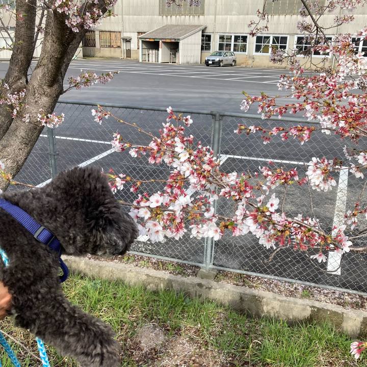 3b3100e4 964d 4184 9d47 381a0745e925 1680778323485