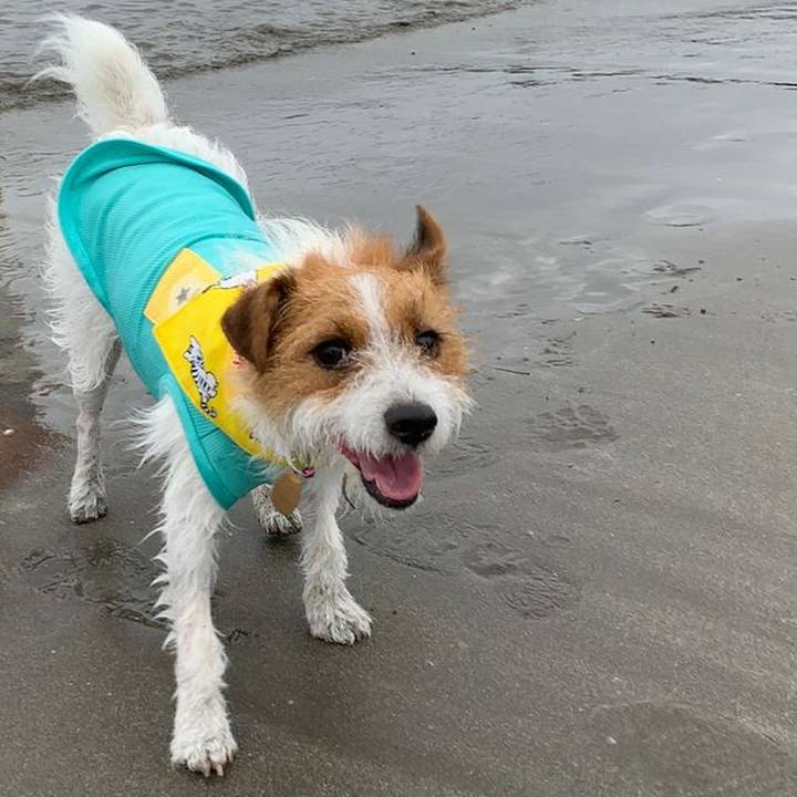 3b3111ac d882 497d 8527 9a2eaad6e430 1561903039804