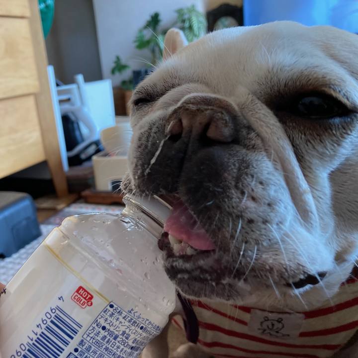 3b312406 98a6 4656 9610 9af9076bd4f3 1742425437093