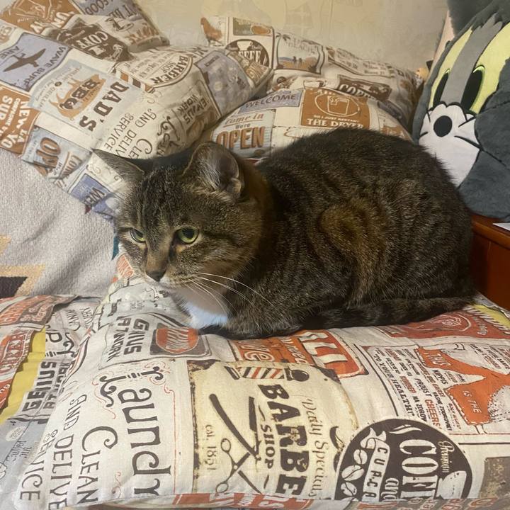 3b313481 89a7 42cc 8e0f 7b617177fdfb 1747776529536