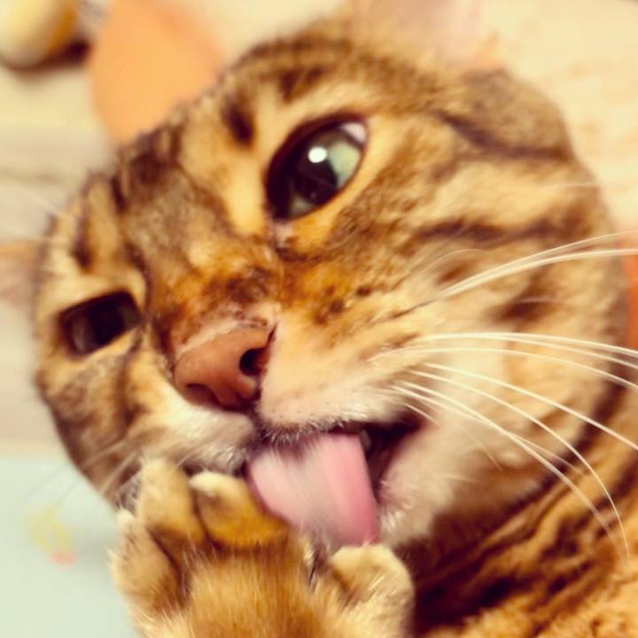 3b3169ad 30bd 4c38 9a80 6205414db7f4 1656754032177