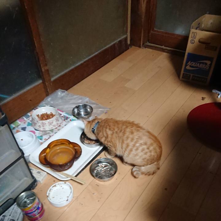 3b316b6c 947b 40e3 bbde 1144465519fa 1635971171100