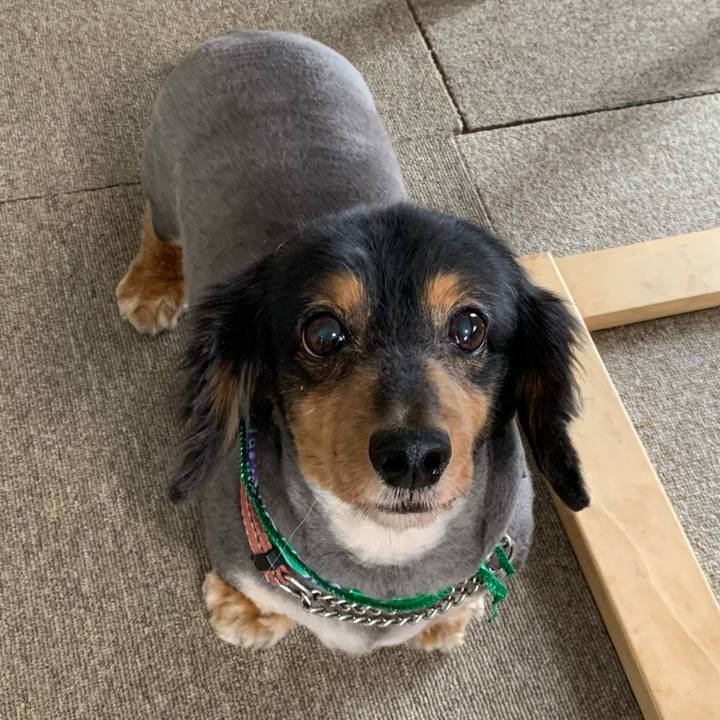 3b317271 56cd 48f8 acad 3639ec149a82 1592020857756