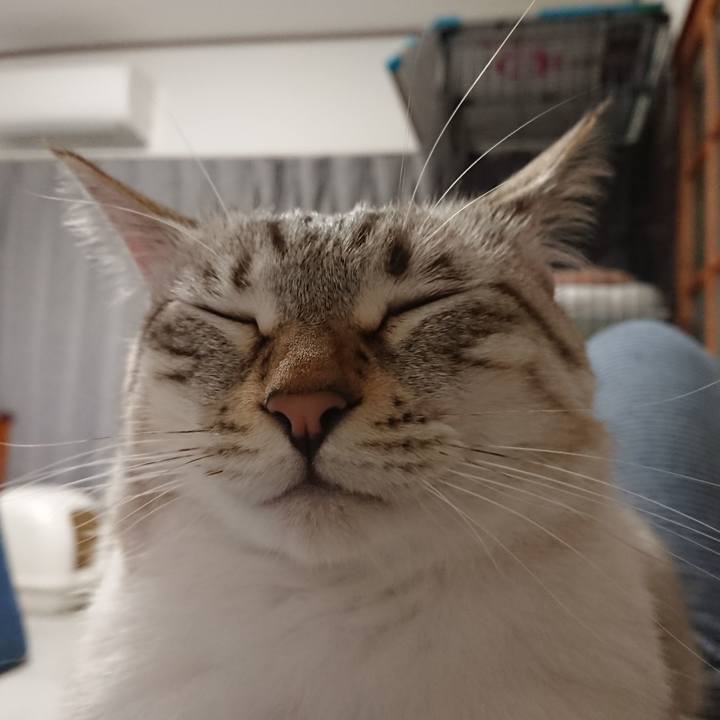 3b31af97 10c9 45ce 8350 1cd95759d024 1572093852134