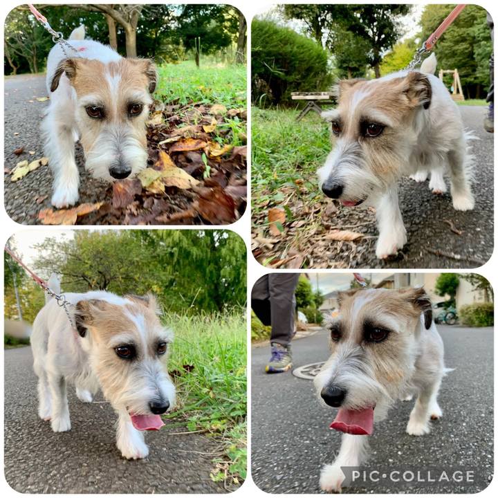 3b31b1b6 b7d9 4b74 89f4 85fda5ee584d 1665833637005