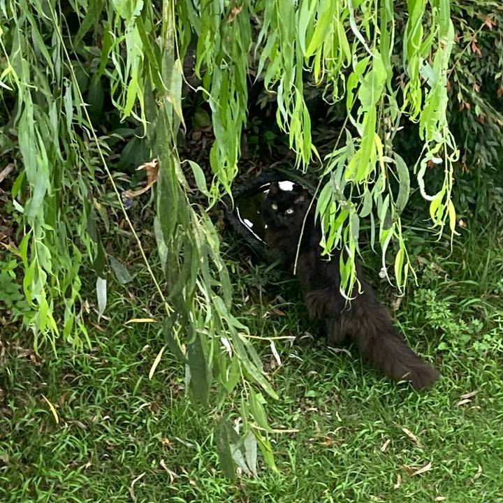 3b31b5b1 285a 4ab2 b7a8 01a22ecb0df6 1724578177177