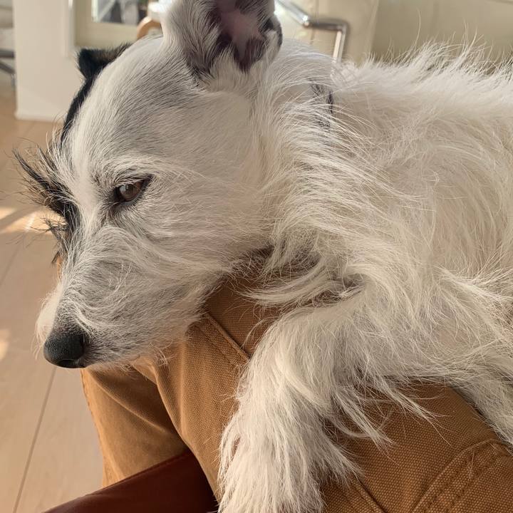 3b31fb76 306f 49a4 9bf1 a25316637990 1574053169666