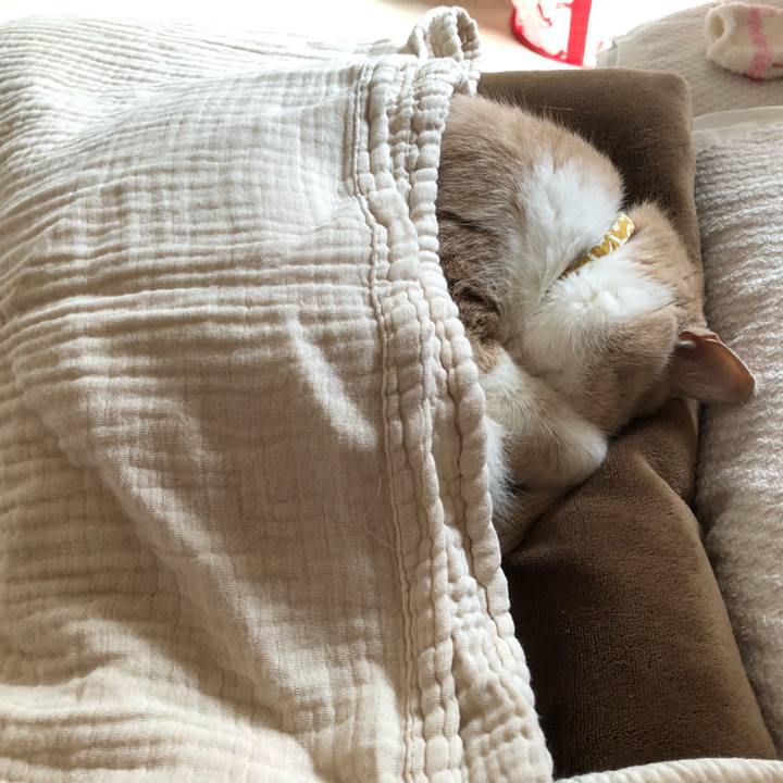 3b3260b3 8bf0 4424 ac93 7c8b5ad411b7 1599389204958