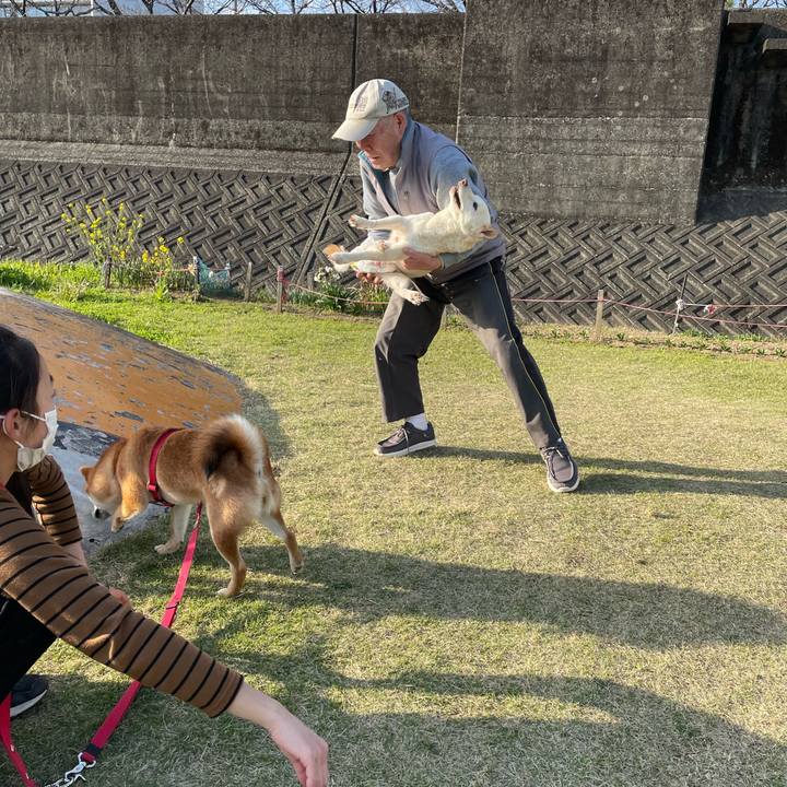 3b32a026 1419 4b2b 831a 68b03ac710db 1679223647958