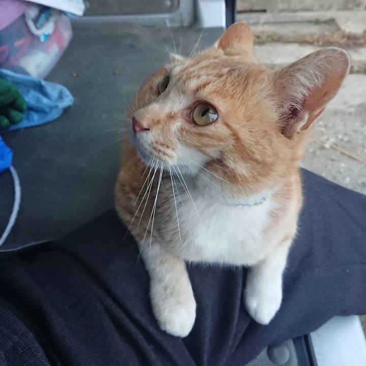 3b32ba5d 2acb 45f3 b4f1 8ef87de0a08f 1587115787726