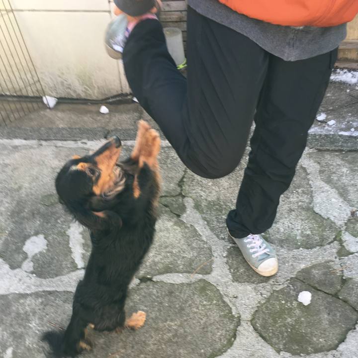 3b32de17 88a6 496c 8789 721d854ff59e 1516943464804