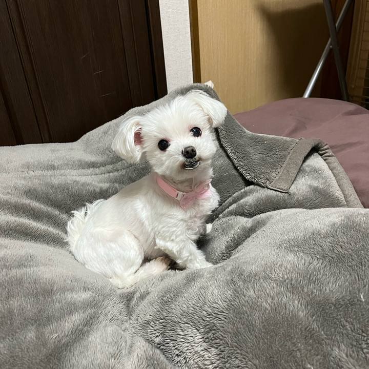 3b32e1df 811f 40cb 9e26 26bf6fbf98c3 1711886542089