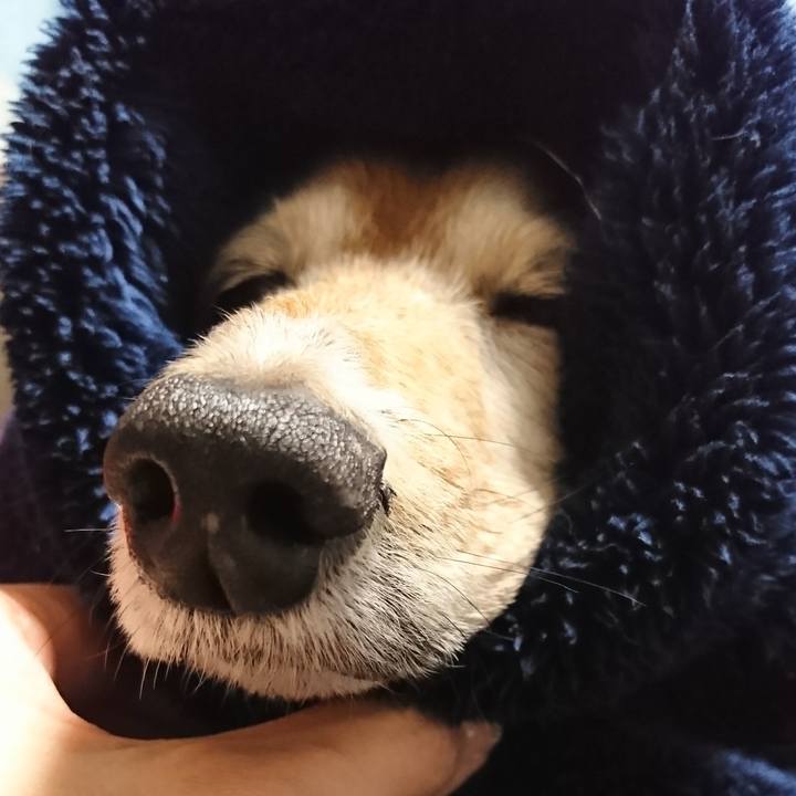 3b32e2bf 2cff 4e7b 8316 267c7b10578c 1512868325667