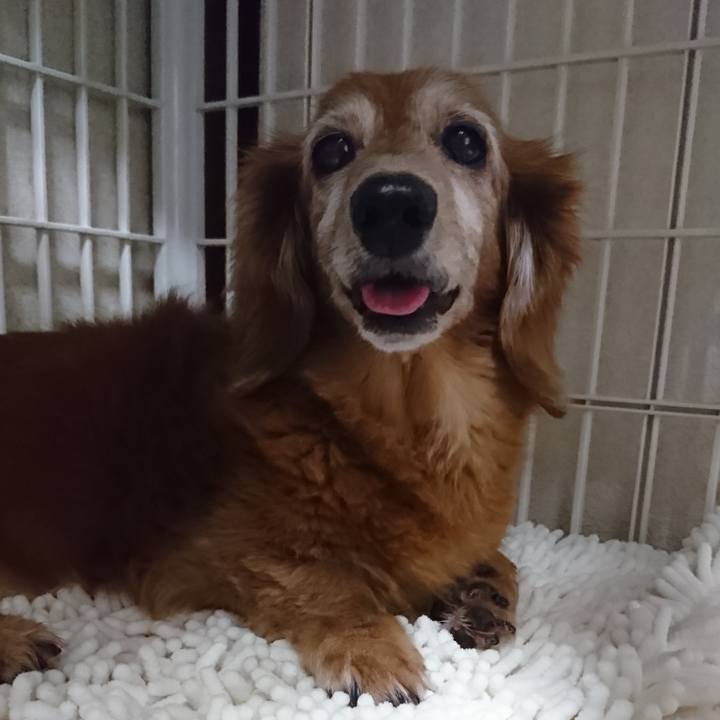 3b330190 293d 425a 9e8d 76b9d1ce9f26 1613146822658