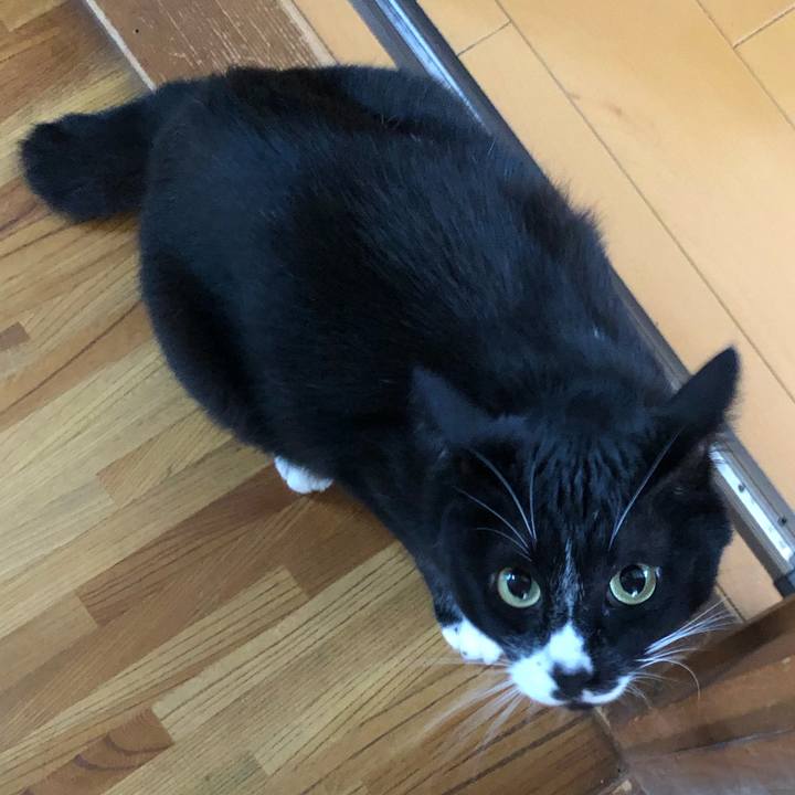 3b333a30 b764 406c aad2 b05ce3065e48 1657596688689