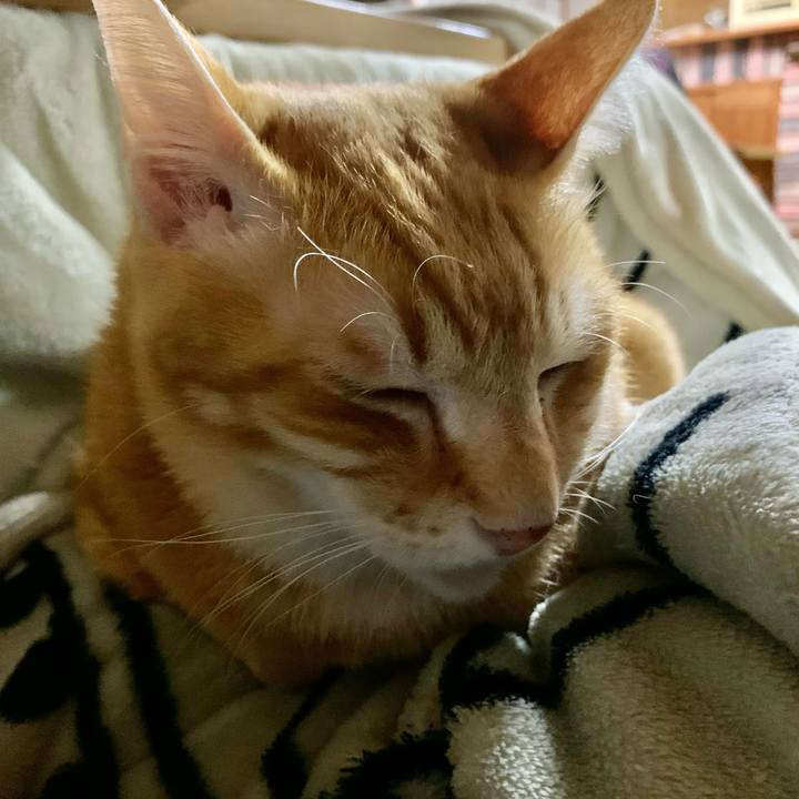 3b333b2d d2ae 413d a635 69bc15486c93 1611326321807