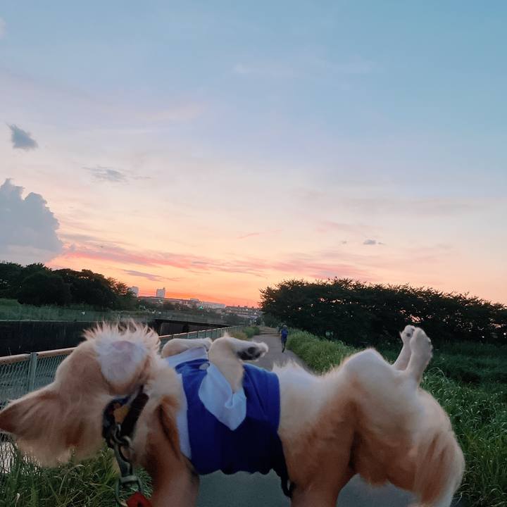 3b335498 1dcc 45e0 b7f0 0922a3fa5fe8 1659601368476