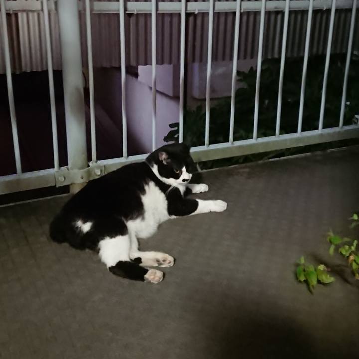 3b33771c 7695 42ee bfcd d031cf6bd6c6 1597832643193