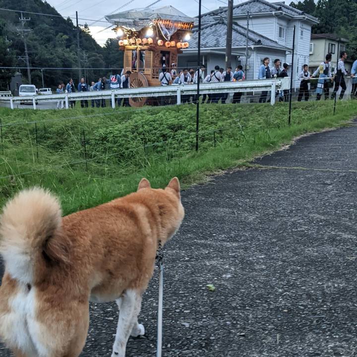 3b3399e8 6843 41db b80a b583f46195eb 1728380011756