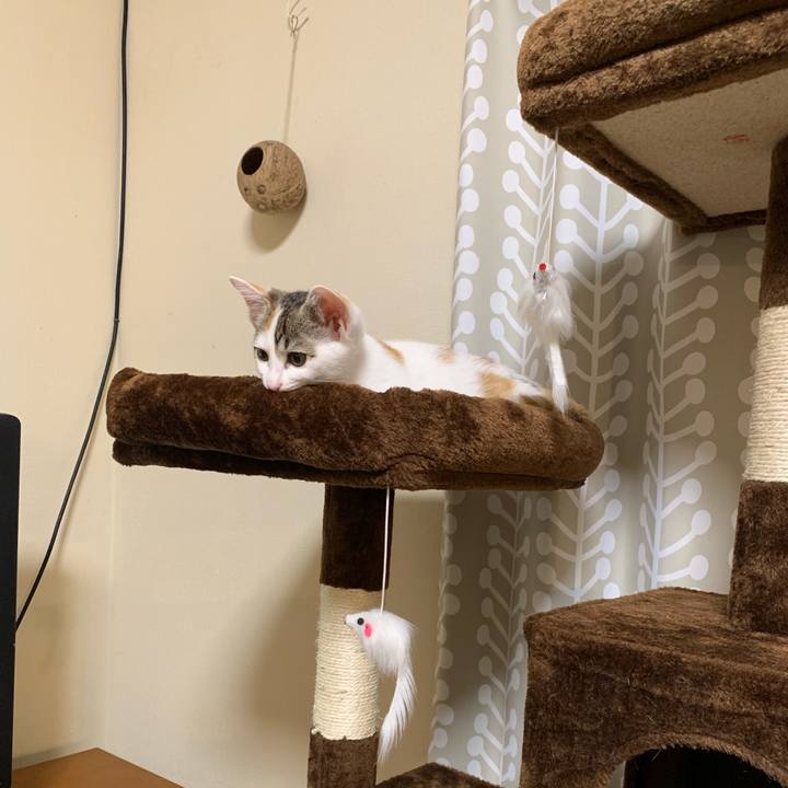 3b33bbc6 4bed 4480 a847 d03bf3967a4e 1594032294195