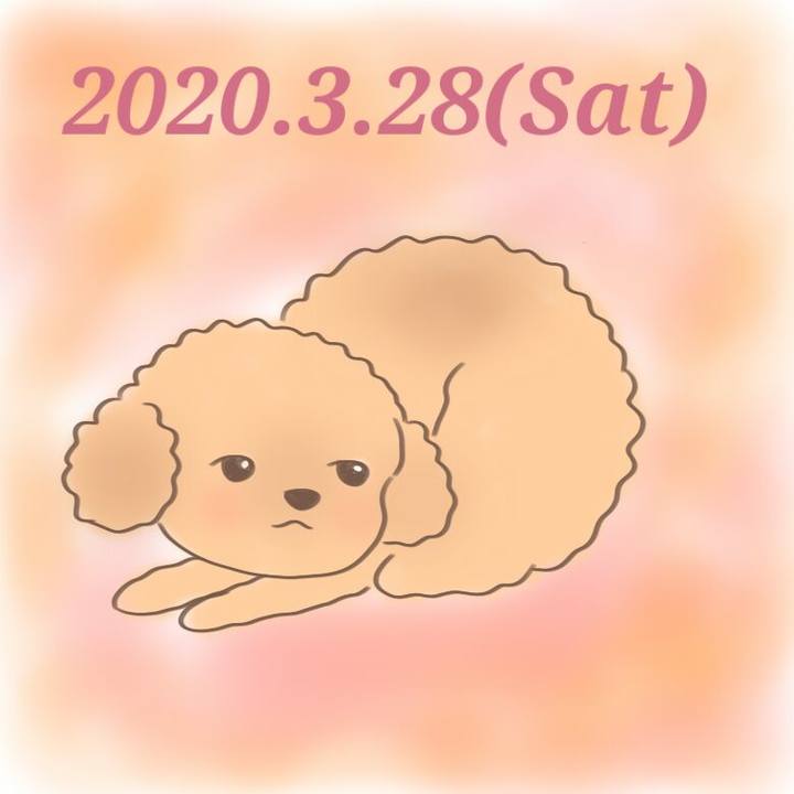 3b3406c2 18c4 4ddb 981a da9bb874bd7a 1585393817235