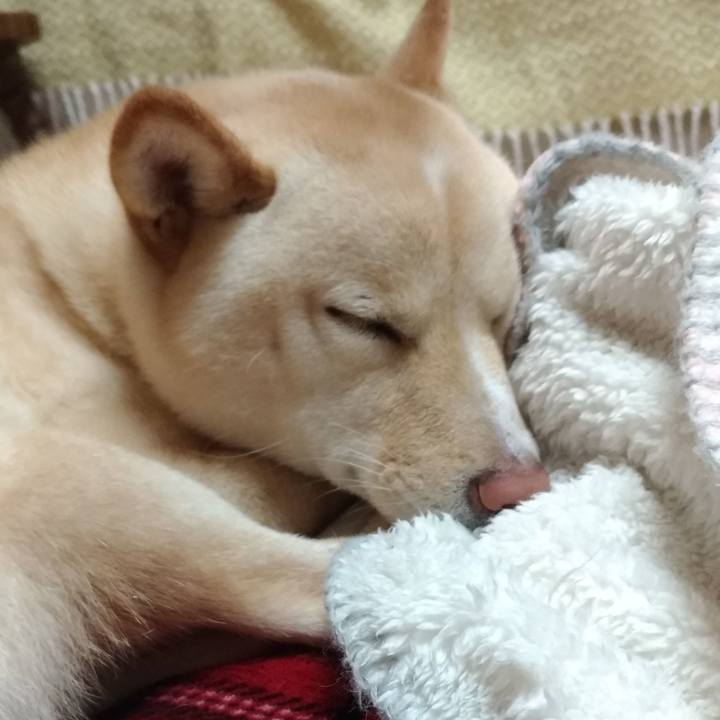 3b34a72e bc9e 472e 9d14 52afae4dca60 1551359450670