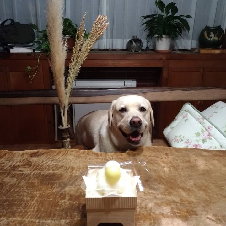 3b34e9bb c9a3 497c 897d dfa0f8bc1ec7 1568375323050