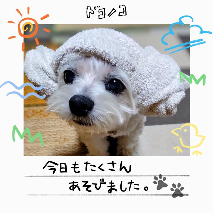 3b351cc0 2f93 4ad8 8618 b56502a1ea57 1755521844210