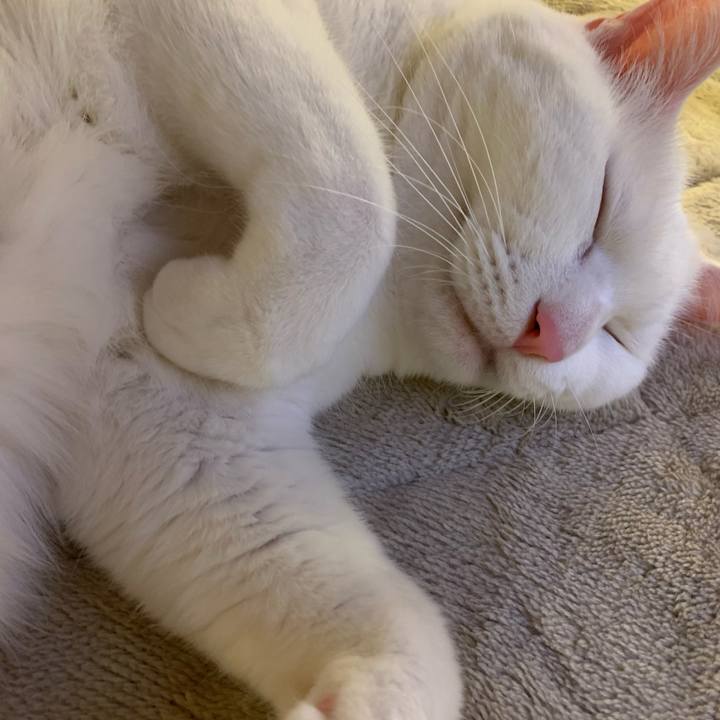 3b3525d2 9bd3 485b 896d 29ca5e0cc17b 1700785231738