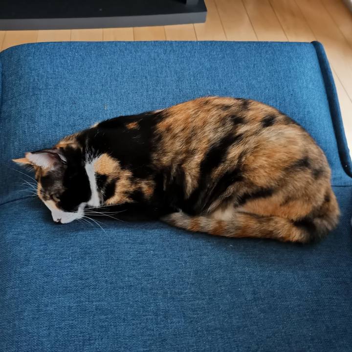 3b355d19 8789 4130 9bdd 065efa8d1c0d 1623666770696