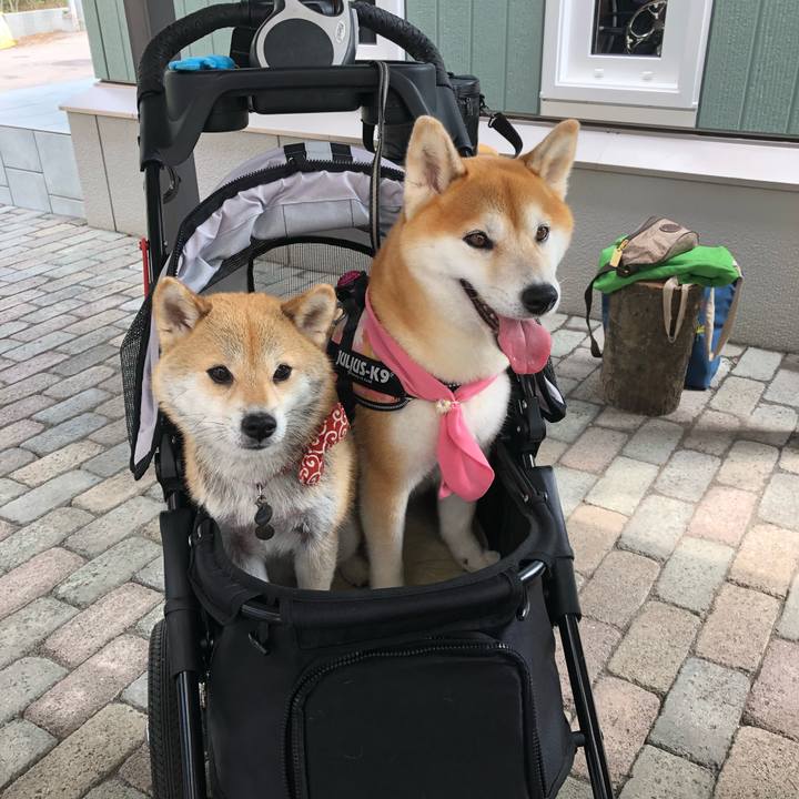 3b357e1e b5be 4362 8f2d 426627918be0 1564310681449