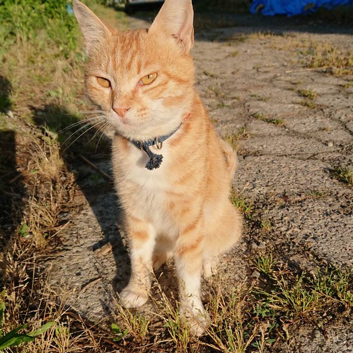 3b35b0be 4480 41d0 b135 489284c6fc5c 1560804213352