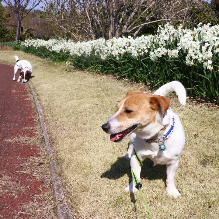 3b35bffa 1077 49b8 b3f2 c0ecb8bca2c9 1552721683769