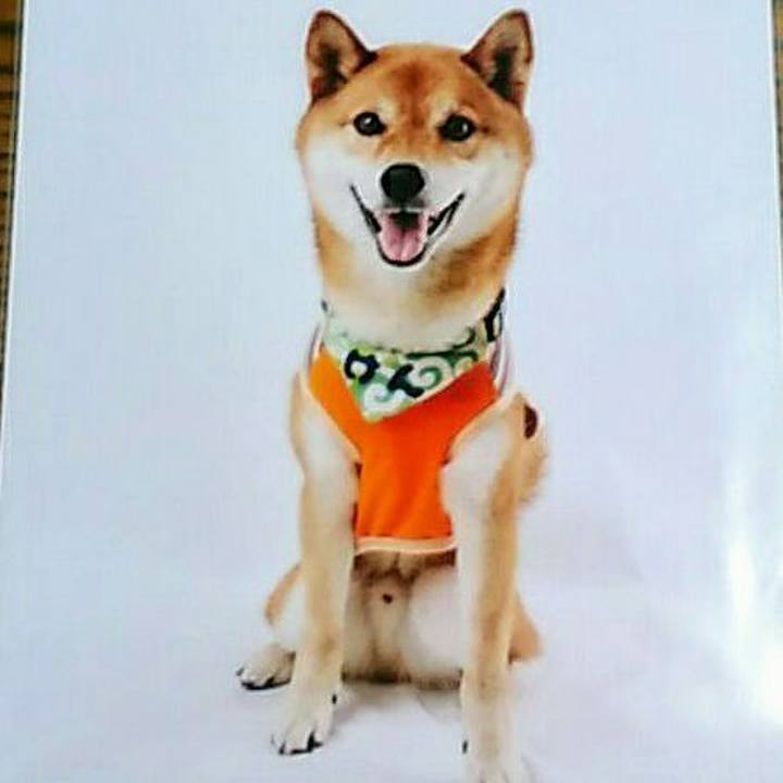 3b35d1c6 a939 46b2 abff bb809c74049a 1562503485486