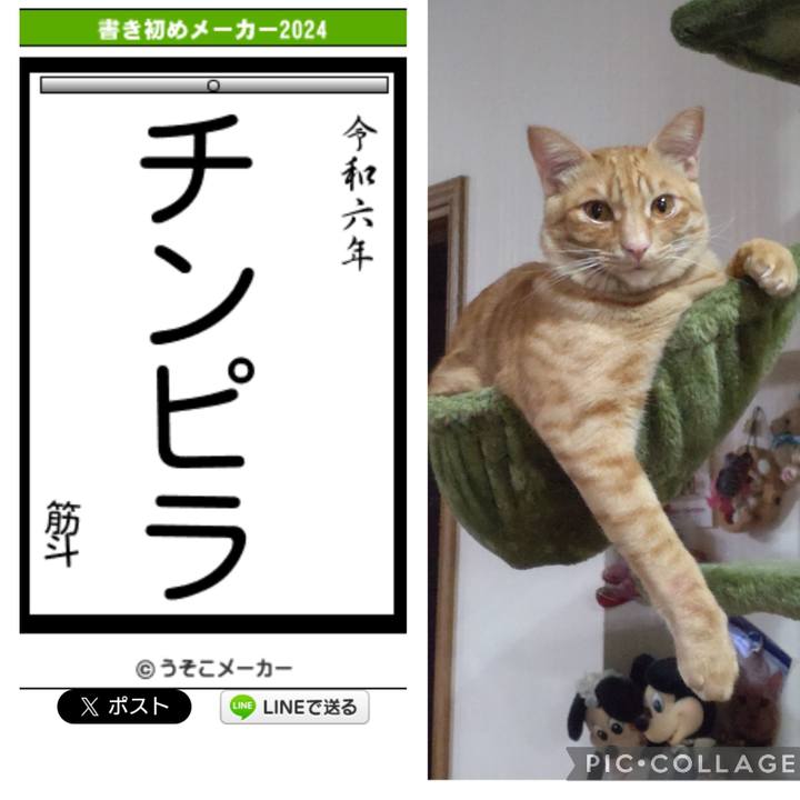 3b35f16d 597e 4019 9f51 7fa972c1f02a 1705223372970