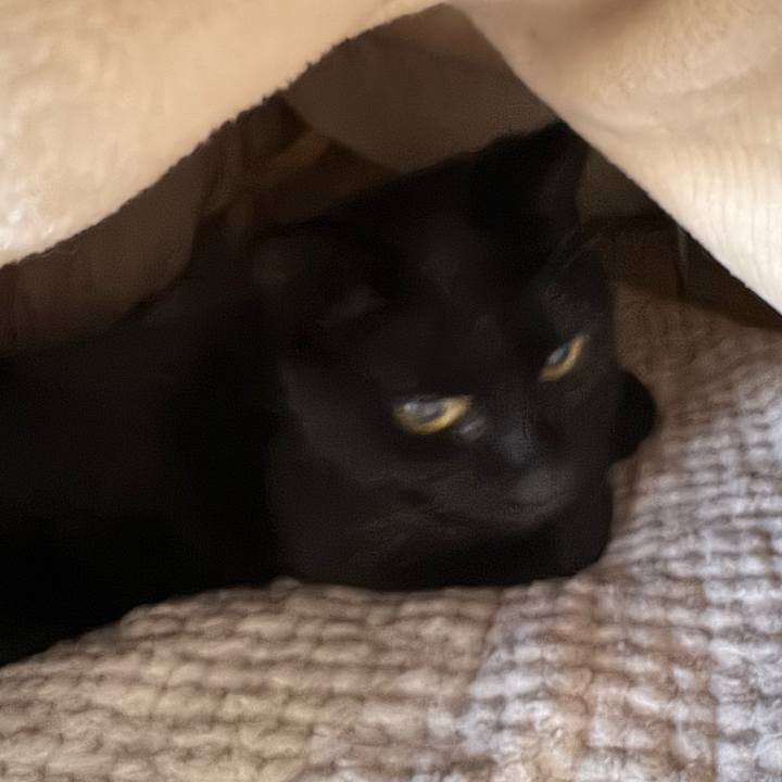 3b35ff56 3766 4beb bf69 41c27cb7c50f 1763510489538