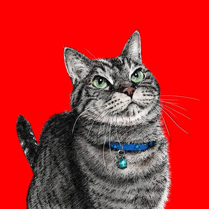 3b364048 8171 4ea6 aba7 b63457c527dd 1598967992176