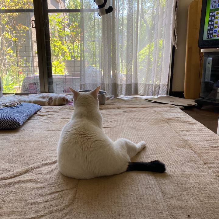 3b367b12 18b2 4ac5 aaa6 79fef84f8e28 1587815097363