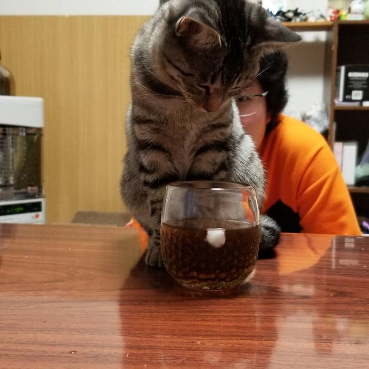 3b371f53 866b 4458 a4f3 f1f184f847fc 1672066904638