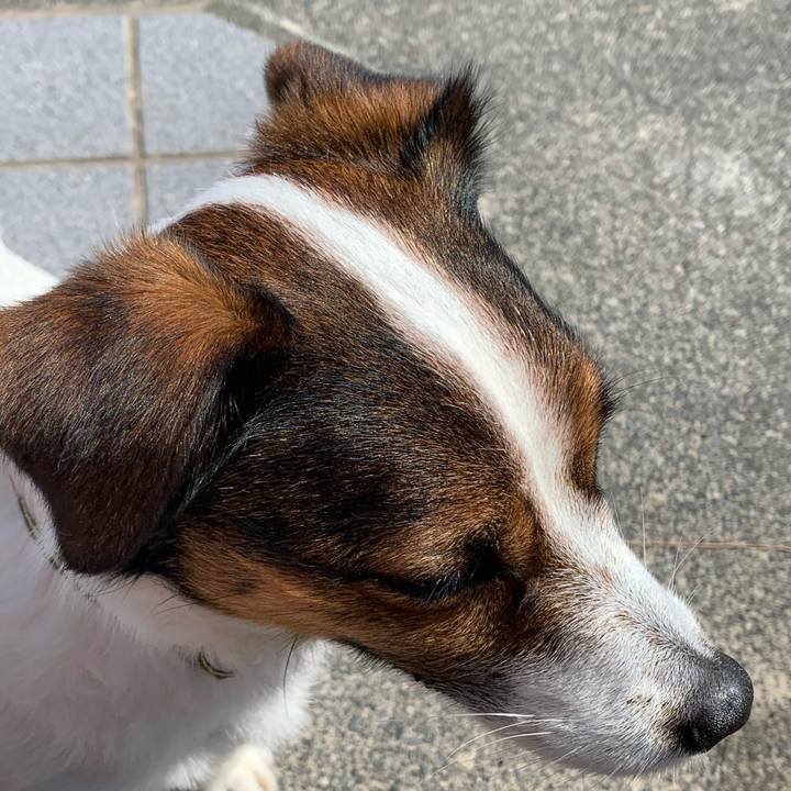 3b3736f2 84c9 481d baee ef6ce116b98c 1587275775090