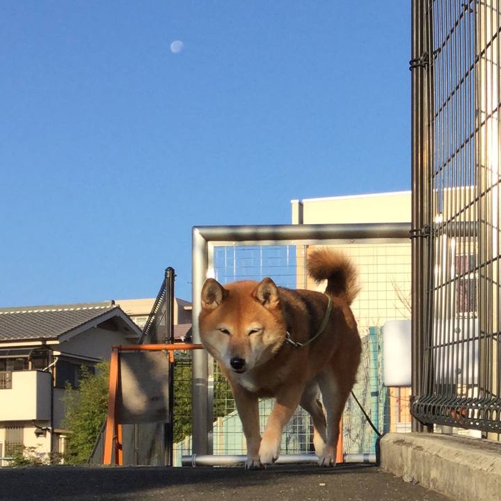 3b374007 5f49 47f0 b5d3 bf5251a4af65 1576455492897